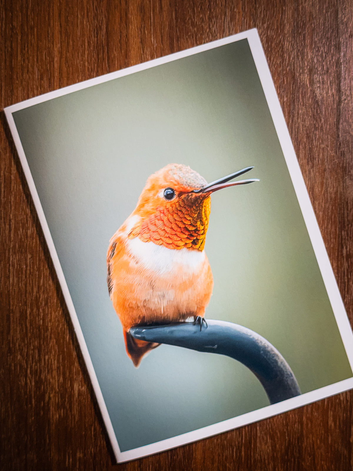 I’m Talking to You | Fine Art Greeting Cards