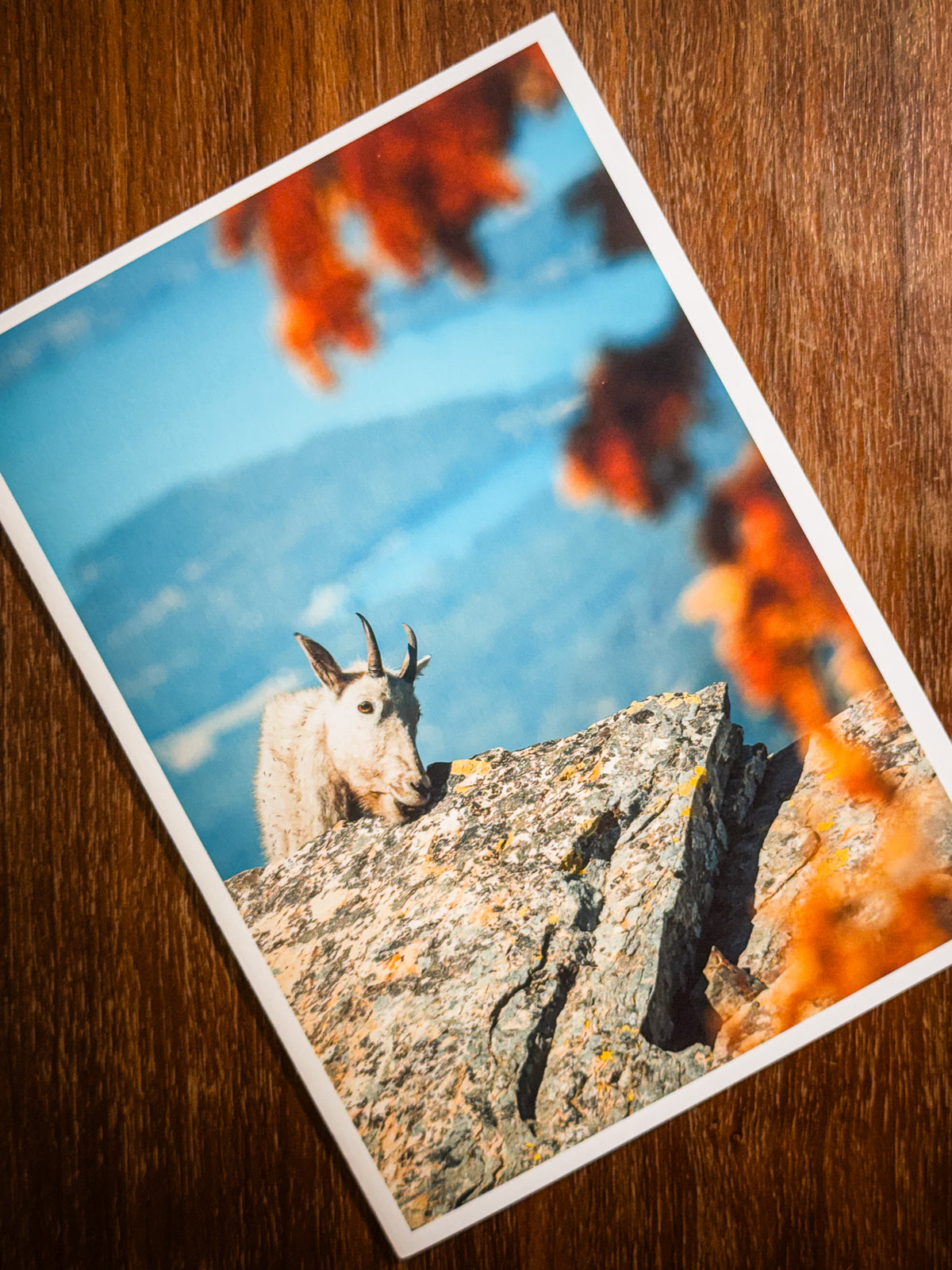 Rewarded | Fine Art Greeting Cards