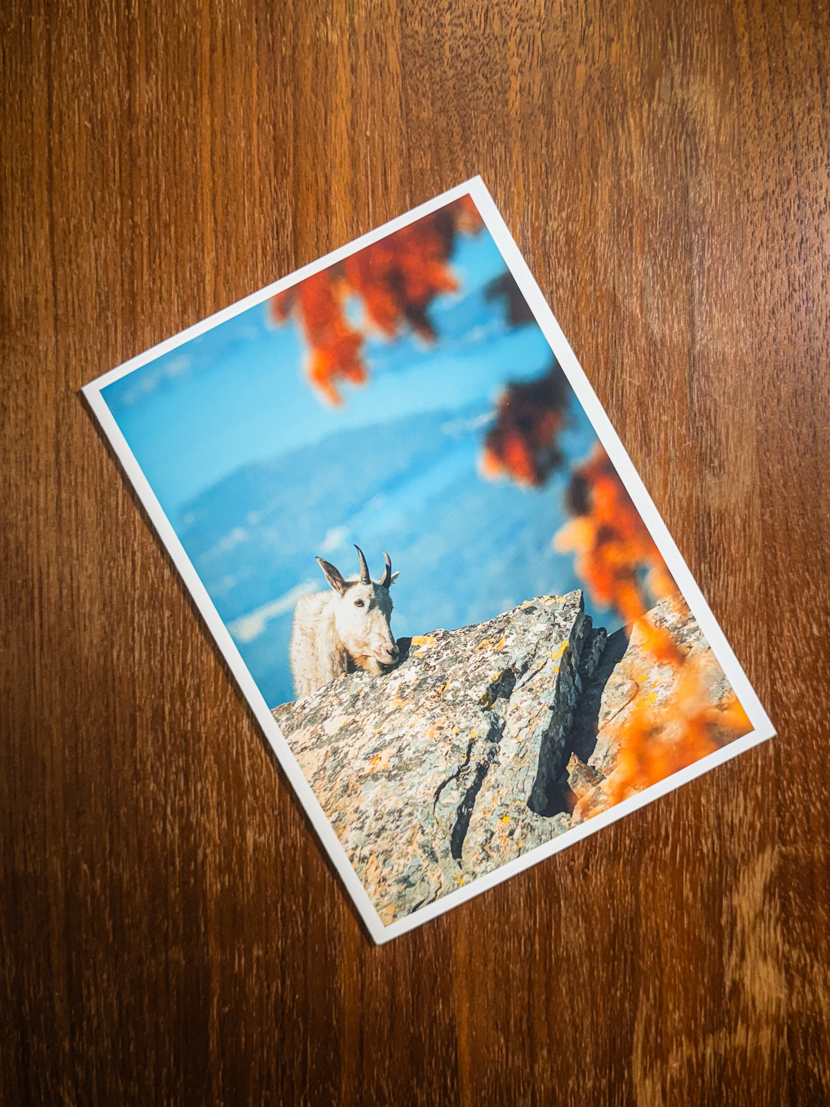 Rewarded | Fine Art Greeting Cards