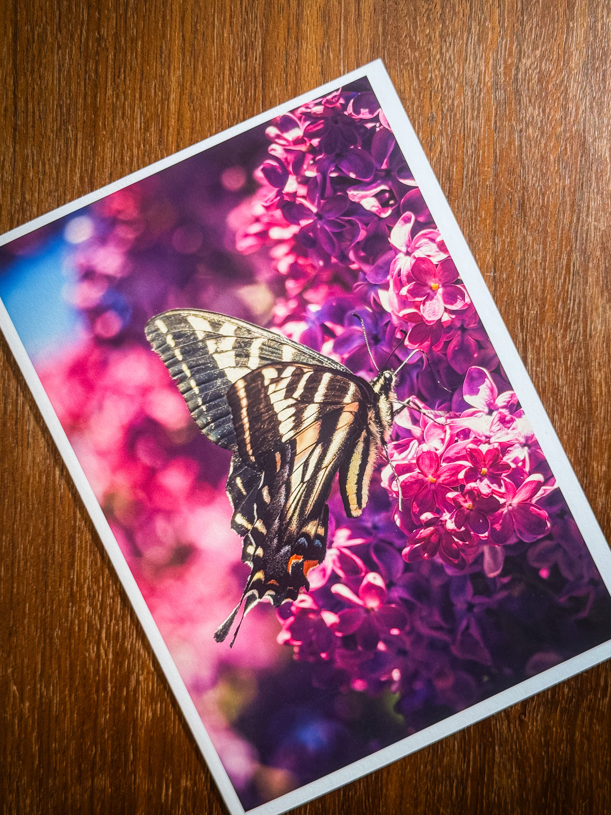 Lilac Dreams | Fine Art Greeting Cards