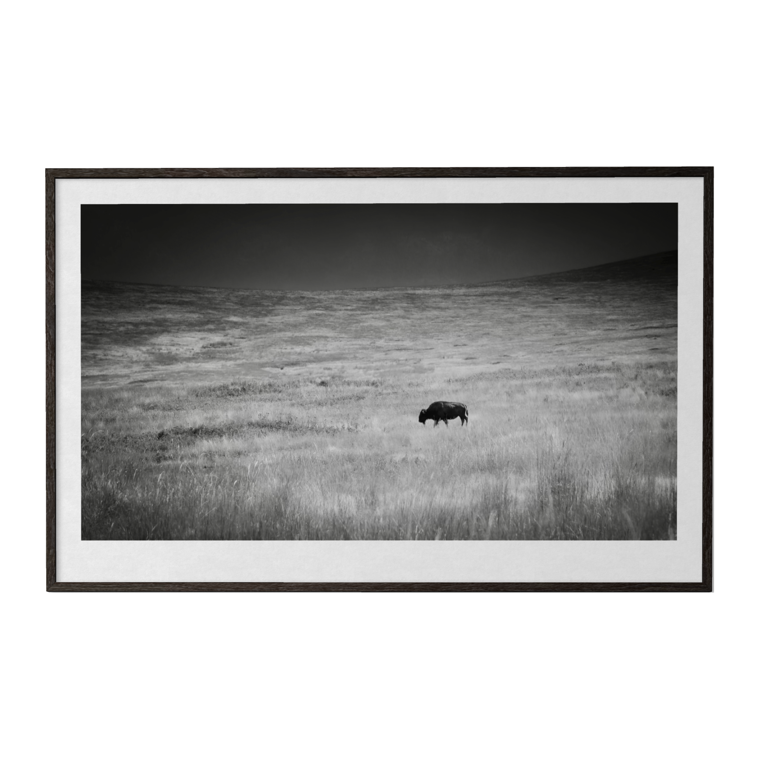 Lone Wanderer