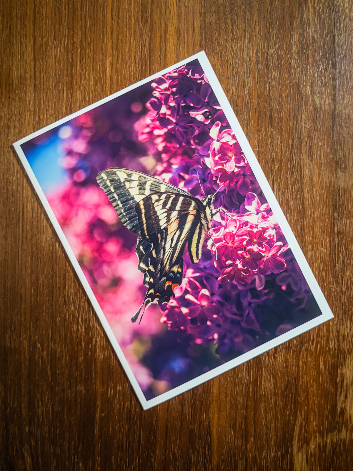 Lilac Dreams | Fine Art Greeting Cards