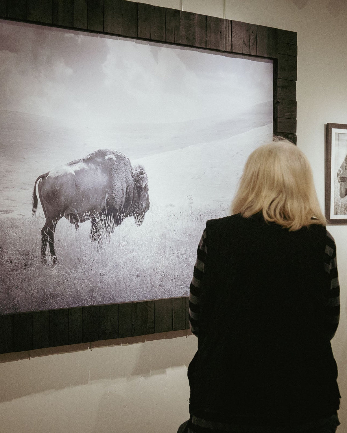 A large framed black and white photograph of a bison in a grassy landscape hangs on a gallery wall, with a woman standing in front of it and other framed art partially visible on either side.